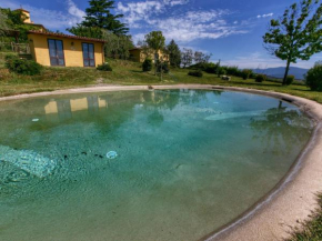 Modern Cottage in Graffignano Italy with Swimming Pool